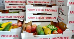 FTW-Delivery-OTC-Stacked-Produce-Boxes-In-Van_WEBSITE-V2.jpg