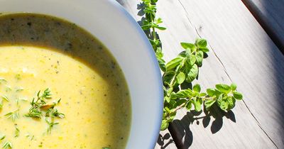 Golden Summer Squash And Corn Soup