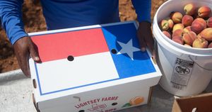 Lightsey Farms - Hands with Texas box and Peaches