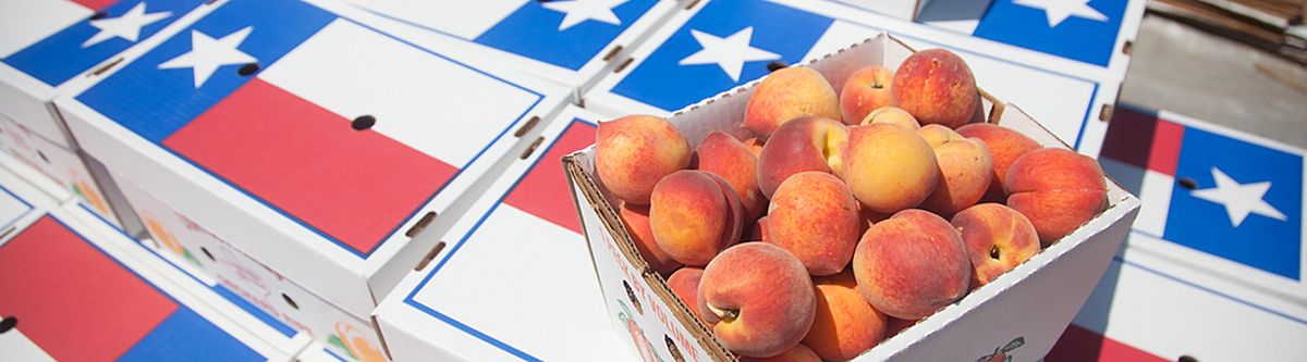Peaches on Texas Box Web Banner.jpg